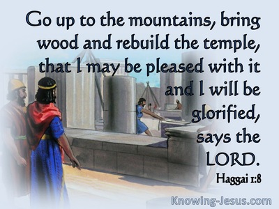 Haggai 1:8 Go Up To The Mountains (blue)